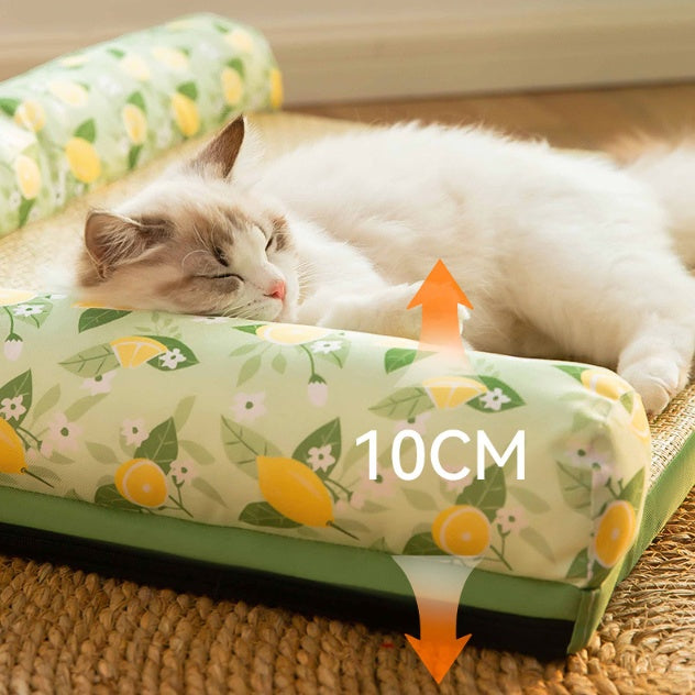 Let’s dive in and review some of the best cooling pads for cats available on the market. We’ll help you choose the right one!