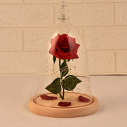 Valentine's Day Gift Ideas